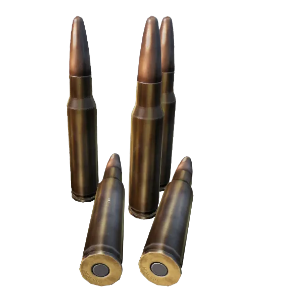 Ammo_308Win