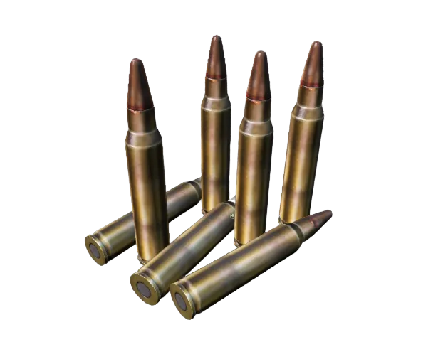 Ammo_556x45