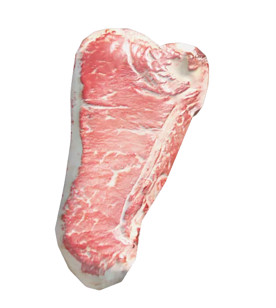 Bear Steak Meat