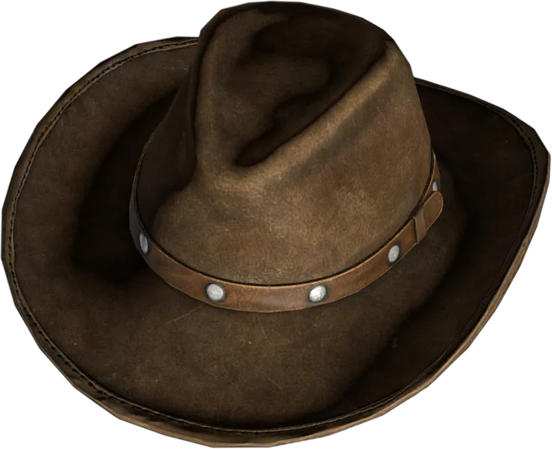 Cowboy Hat Dark Brown