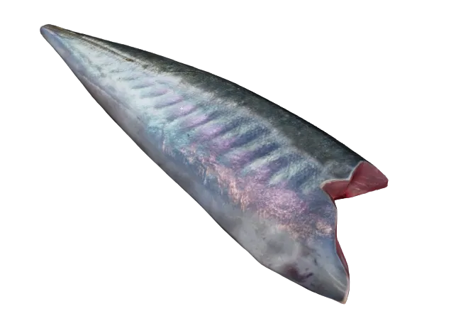 Mackerel Fillet Meat