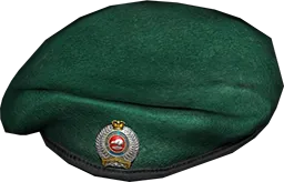 Military Beret NZ