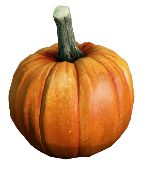 Pumpkin