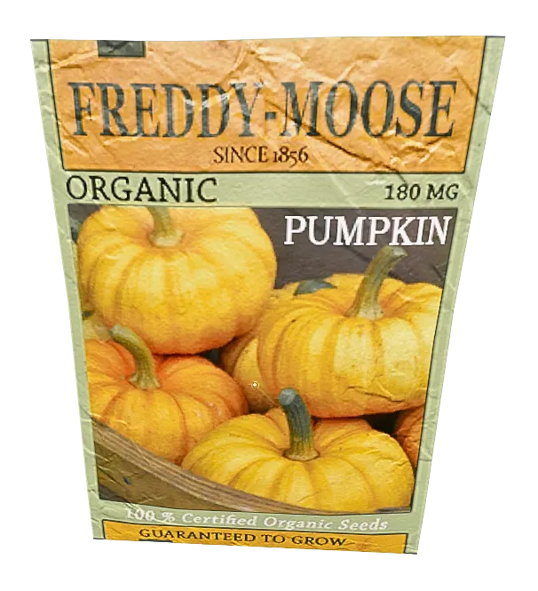 Pumpkin Seeds Pack
