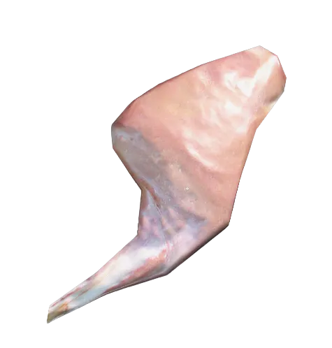 Rabbit Leg Meat