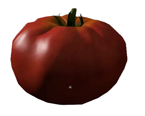 Tomato