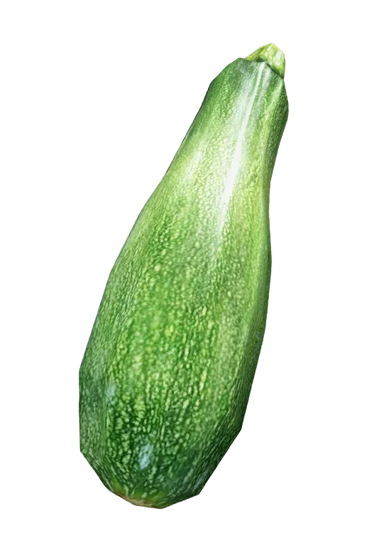 Zucchini